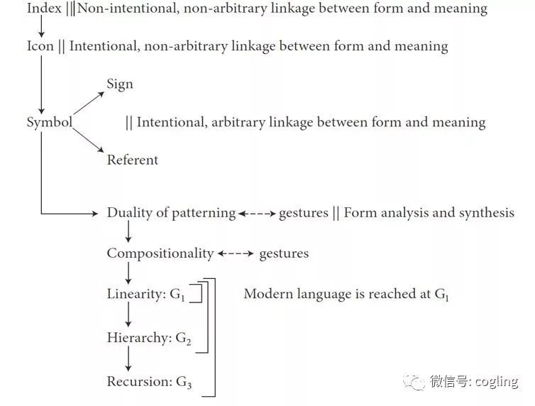 推荐 | 远古智人是否会说话？